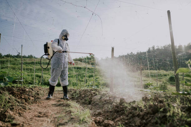 Best Ant Control Services  in Mount Hope, WV