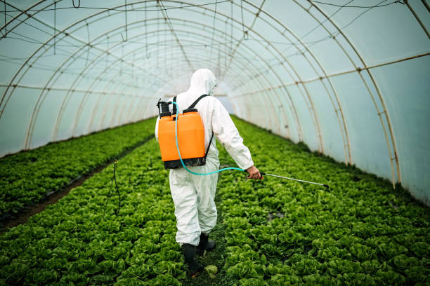 Best Residential Pest Control  in Mount Hope, WV