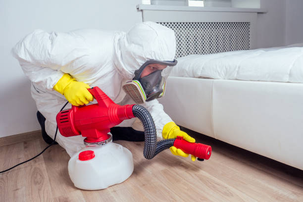 Best Termite Control Services  in Mount Hope, WV