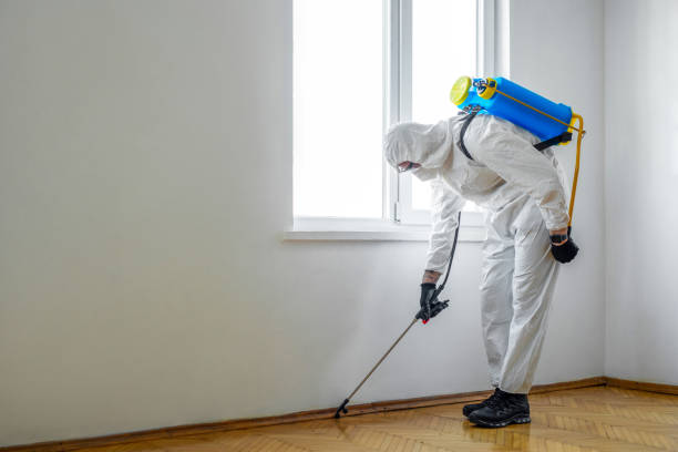 Best Pest Removal Services  in Mount Hope, WV