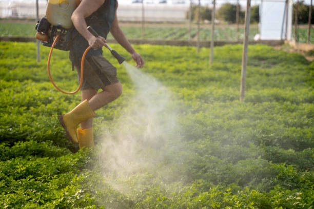 Pest Control for Restaurants in Mount Hope, WV