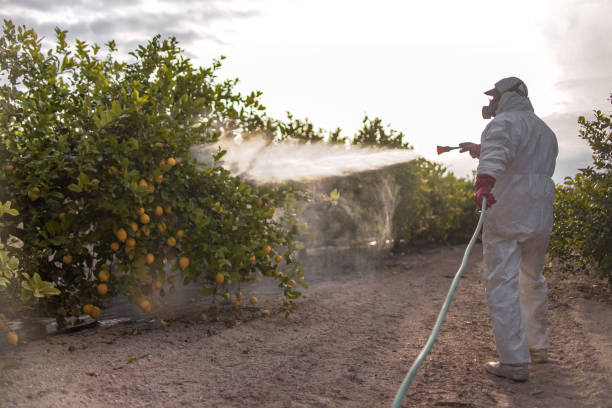 Best Pest Control Near Me  in Mount Hope, WV