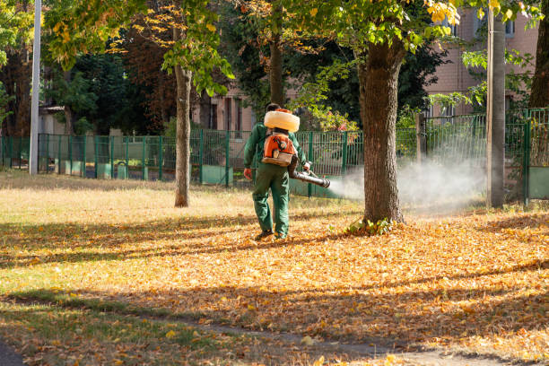 Best Mosquito Control Services  in Mount Hope, WV