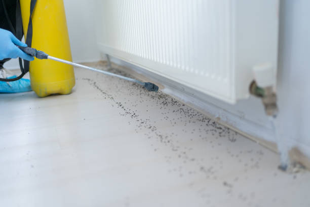Best Commercial Pest Control Services  in Mount Hope, WV
